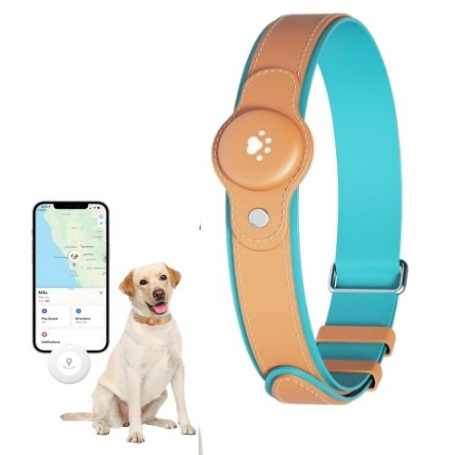 GPS pet tracking collar