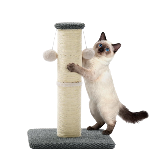 Cat scratching post (small)