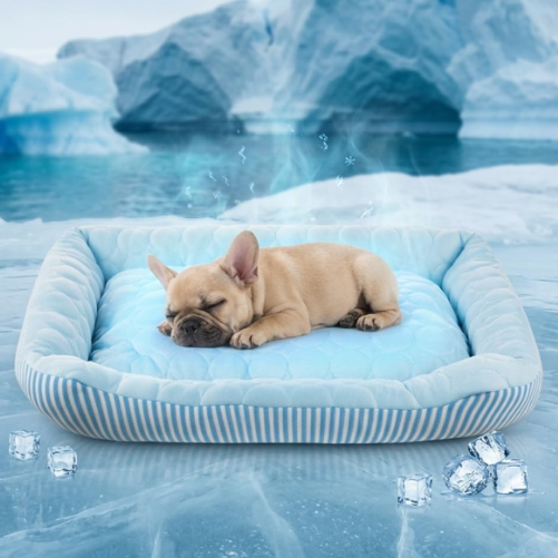 Cooling dog bed